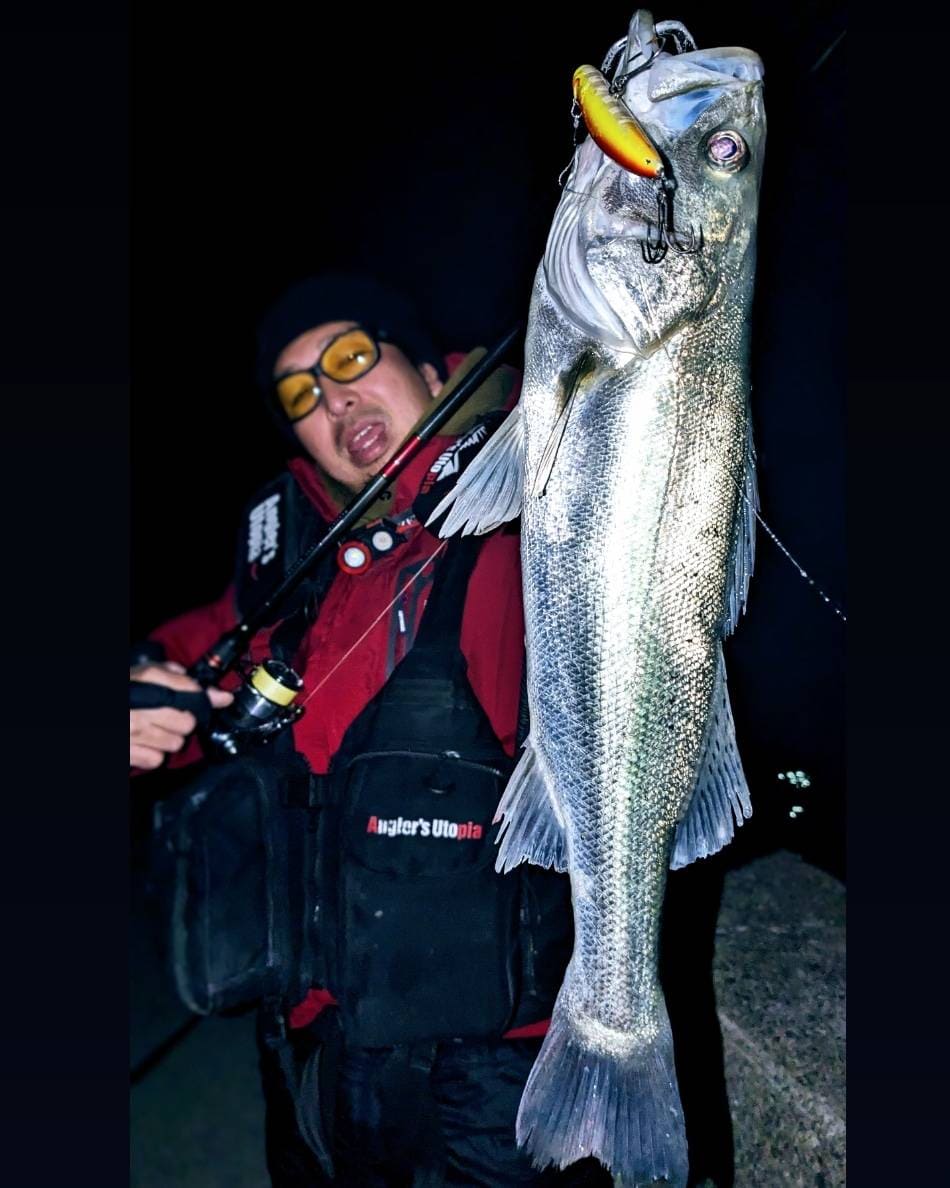 1995☆Extreme☆Punchline Vintage エクストリーム L 1995☆Extreme☆Punchline Vintage エクストリーム L 1995